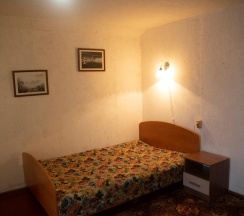 Номер стандарт с 2 односпальными кроватями (с завтраком) в Алтайна 1*