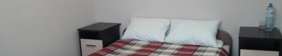 Двухместный номер Standard двуспальная кровать в Брусника