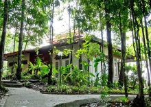 Кровать в общем номере c 1 комнатой в Chestnut Hill Eco Resort