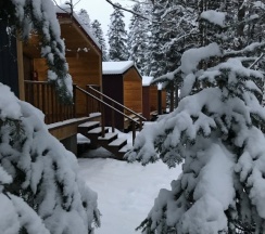 Двухместное шале Classic с красивым видом из окна двуспальная кровать в Forest house resort