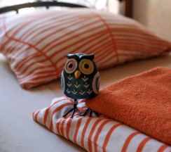 Место в 6-ти местном номере  в Сова