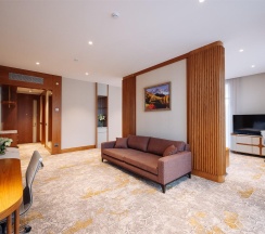 Номер делюкс премиум с 1 двуспальной кроватью в Источник