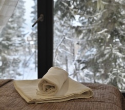 Дом с видом на лес в Svekla project