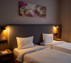 2-х местный в блоке вид на горы в Ays Design Hotel