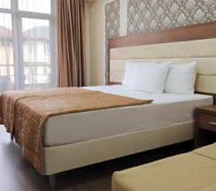 Стандарт с балконом в Афалина+