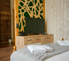 Стандарт №1 в Green Ландия