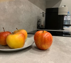 581 "Топаз" Семейный в Апартаменты-Пушкин