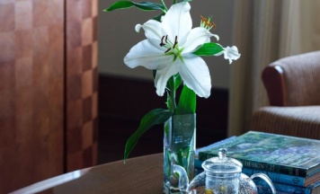 Полулюкс с видом на лес в Rixos Borovoe