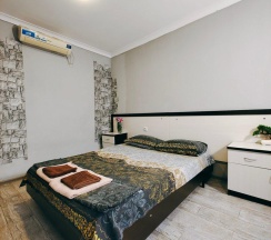 2-местный 1-комнатный номер стандарт эконом с 1 двуспальной кроватью в Гравитация