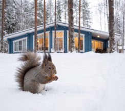 №11 Сhalet 110m2 с горячим банным чаном и закрытой территорией (оснащение дома, стоимость чана и бани см. Подробнее) в Les holidays