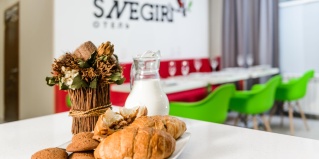 Сыктывкар: Мини-отель Snegiri