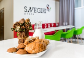 Мини-отель Snegiri в Сыктывкаре