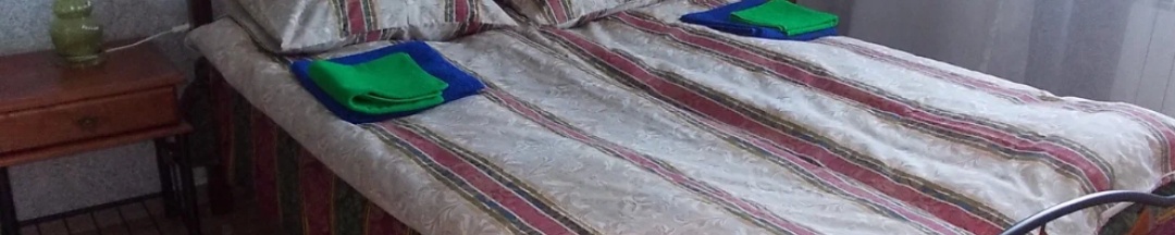 Номер люкс с 1 двуспальной кроватью в Александровская