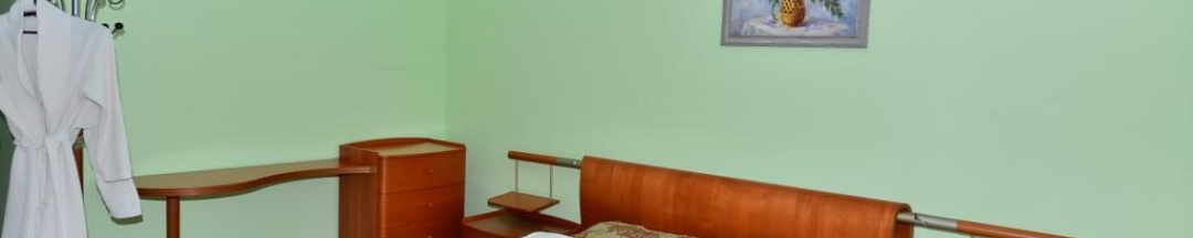 Номер стандарт с 1 двуспальной кроватью (с завтраком) в Сибирская Венеция