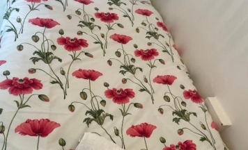 Номер Standard в Riversvale