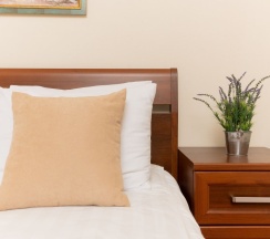 Двухместный номер Standard 2 отдельные кровати в Соната на Маяковского