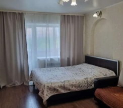 Апартаменты c 1 комнатой в Апартаменты Пр. Карла Маркса д. 50