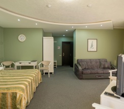 Номер Престиж с 1 двуспальной кроватью в Аврора