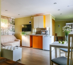 Номер студия семейный с 1 двуспальной кроватью в Villa Victoria