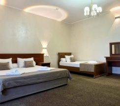 Стандарт трехместный в Bridge hotel