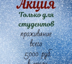 1-местный номер с 2-х спальной кроватью в Гудзон