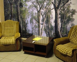 Номер делюкс с 1 двуспальной кроватью в Носовихинский