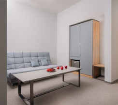 Deluxe Suite Twin (Делюкс с 2 односпальными кроватями и 1 раскладывающимся диваном) в Turris Hotel Lubyansky