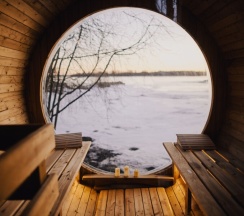 Глэмп №7 уединенный на дереве в Vyborg Bay