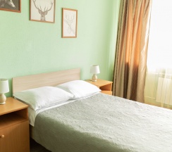Двухместный номер с 1 кроватью  в Брусника