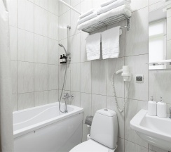 Стандарт в Горки