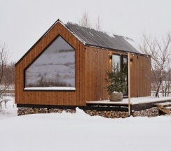 Кото малый в Альфа