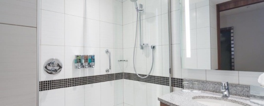 Номер с кроватью размера "queen-size" в Hampton by Hilton Voronezh