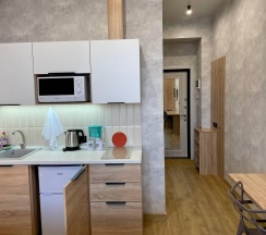 1-комнатные апартаменты студия в В Гости!