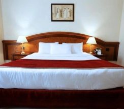 Двухместный люкс Deluxe (двуспальная кровать) в Triumph Plaza Hotel