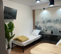 Двухместный номер с 2 односпальными кроватями категории стандарт в Городок