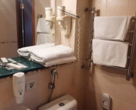 Улучшенный с мансардным окном в Golden Hotel