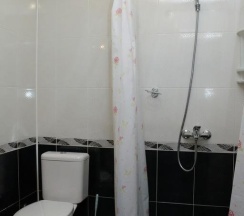 Двухместный номер Standard с балконом 2 отдельные кровати в Аист