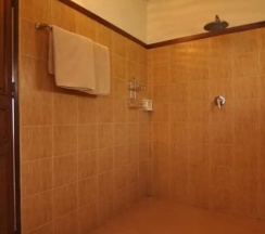 Бунгало Deluxe с балконом и с видом на море в Palm Leaf Resort