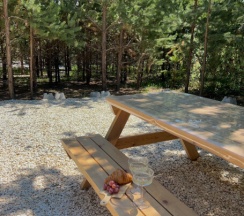 Бельгия в BamBoo Village