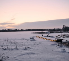 Глэмп №6 на дереве в Vyborg Bay