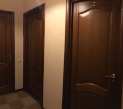 Одноместный стандарт в Старая деревня