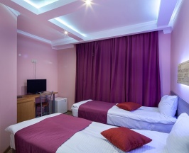 Стандарт двухместный номер с 2 отдельными кроватями в Garden Hotel