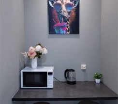 3. Студия двухместная с кухней в Башня