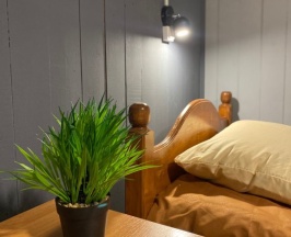 Двухместный номер Standard с красивым видом из окна двуспальная кровать в Грэй гусь