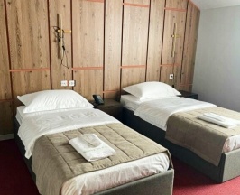 Стандарт TWN в Holliday inn Pskov