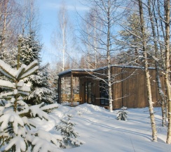 "Береза" в След Лося