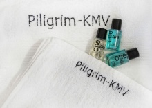 Пестова 9 спальня + гостинная от Piligrim-KMV в Пилигрим КМВ