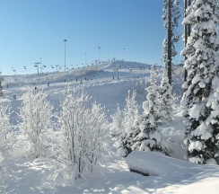 Апартаменты с 2 спальнями с отдельным входом в Игора