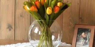 Плес: Гостевой дом Эко-дача Hidden Plyos