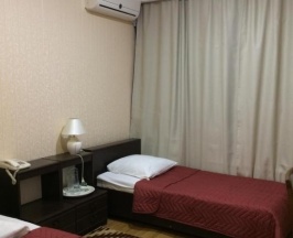 Номер стандарт с 2 односпальными кроватями в Царицын